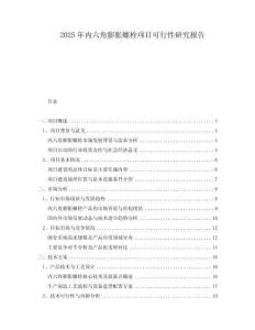 2025年內(nèi)六角膨脹螺栓項(xiàng)目可行性研究報(bào)告