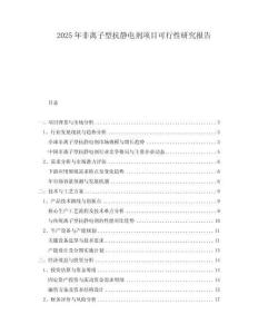 2025年非離子型抗靜電劑項(xiàng)目可行性研究報(bào)告