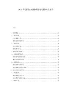 2025年強效止痢精項目可行性研究報告