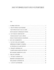 2025年耳鼻喉綜合診療臺項目可行性研究報告