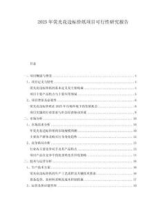 2025年熒光花邊標(biāo)價(jià)紙項(xiàng)目可行性研究報(bào)告