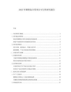 2025年銅塑復合帶項目可行性研究報告