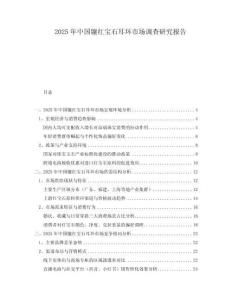 2025年中國鑲紅寶石耳環(huán)市場調(diào)查研究報告