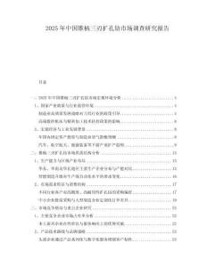 2025年中國錐柄三刃擴孔鉆市場調查研究報告
