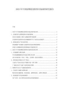 2025年中國(guó)按摩除臭鞋墊市場(chǎng)調(diào)查研究報(bào)告