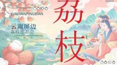 云南屏邊荔枝推薦會活動方案