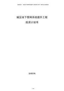 城區(qū)地下管網(wǎng)系統(tǒng)提升工程投資計劃書