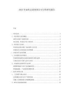 2025年油性去漬劑項(xiàng)目可行性研究報(bào)告