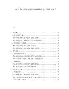 2025年中低濃雙盤(pán)磨漿機(jī)項(xiàng)目可行性研究報(bào)告
