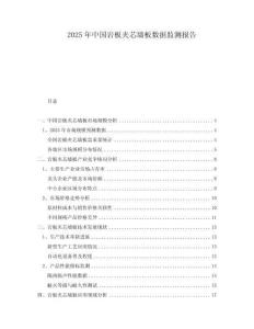 2025年中國巖板夾芯墻板數據監測報告