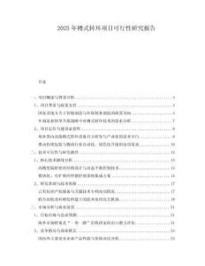 2025年樽式轉(zhuǎn)環(huán)項(xiàng)目可行性研究報(bào)告