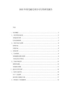2025年羽毛睫毛項目可行性研究報告