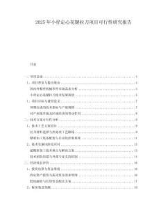 2025年小徑定心花鍵拉刀項目可行性研究報告