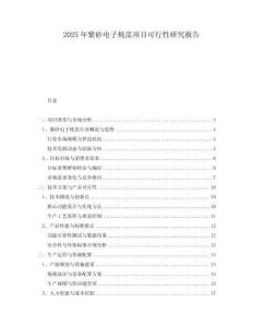 2025年紫砂電子燉盅項目可行性研究報告