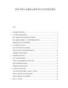 2025年稀土永磁體元器件項(xiàng)目可行性研究報(bào)告