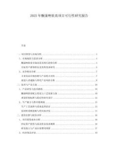 2025年酮康唑軟膏項(xiàng)目可行性研究報(bào)告