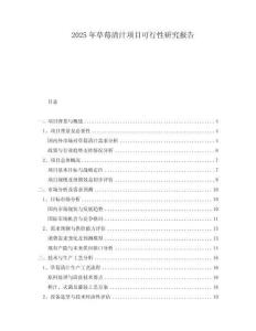 2025年草莓清汁項目可行性研究報告