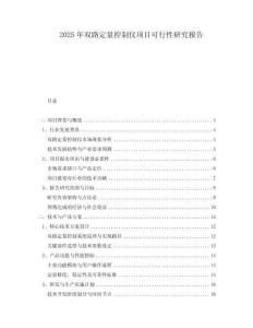 2025年雙路定量控制儀項目可行性研究報告