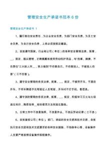 管理安全生產(chǎn)承諾書(shū)范本6份