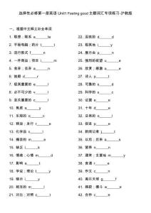 Unit 1 Feeling good 主題詞匯專項練習(xí)（含答案）高中英語滬教版選擇性必修第一冊