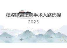 腹腔鏡腎上腺手術(shù)入路選擇2025