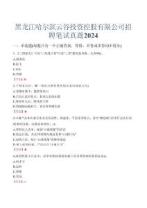 黑龍江哈爾濱云谷投資控股有限公司招聘筆試真題2024