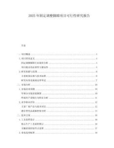 2025年固定調(diào)整腳蹄項(xiàng)目可行性研究報(bào)告