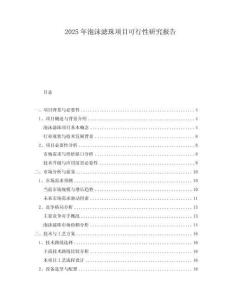2025年泡沫濾珠項目可行性研究報告