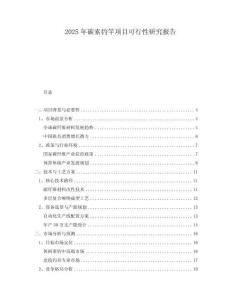 2025年碳素釣竿項目可行性研究報告