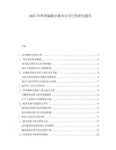2025年黑瑪瑙柄分羹項目可行性研究報告