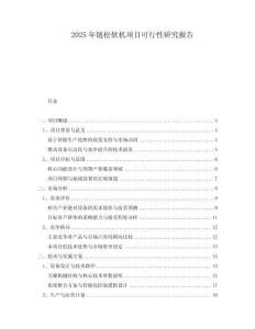 2025年鏈松軟機項目可行性研究報告