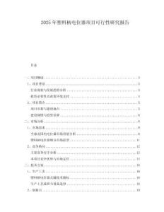 2025年塑料柄電位器項目可行性研究報告