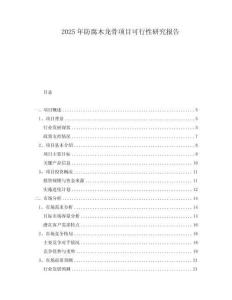 2025年防腐木龍骨項目可行性研究報告