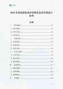 2025年高溫熔鹽電爐創(chuàng)新創(chuàng)業(yè)項(xiàng)目商業(yè)計(jì)劃書