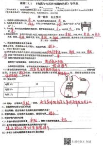 17章導(dǎo)學(xué)案學(xué)考答案(1)