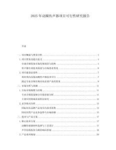 2025年動圈傳聲器項(xiàng)目可行性研究報告