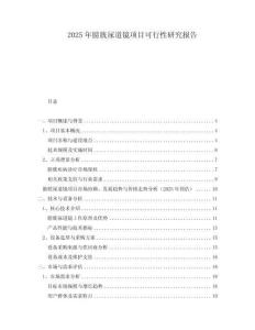 2025年膀胱尿道鏡項目可行性研究報告