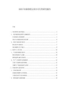 2025年球狀噴頭項目可行性研究報告