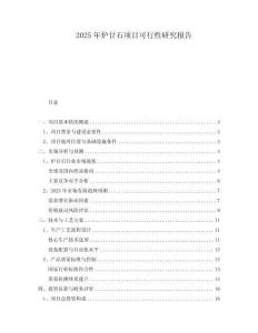 2025年?duì)t甘石項(xiàng)目可行性研究報(bào)告
