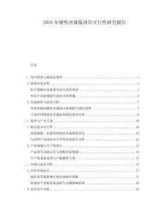 2025年硬性內(nèi)窺鏡項目可行性研究報告