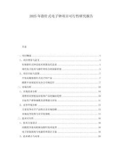 2025年指針式電子鐘項(xiàng)目可行性研究報(bào)告