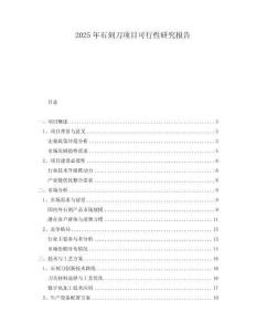 2025年石刻刀項目可行性研究報告