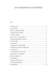 2025年果疏切絲機(jī)項(xiàng)目可行性研究報(bào)告