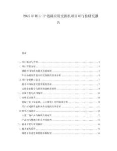 2025年BIG-IP鏈路應用交換機項目可行性研究報告