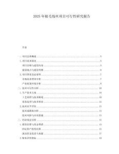 2025年植毛線絲項目可行性研究報告