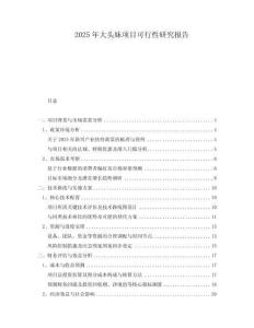 2025年大頭妹項(xiàng)目可行性研究報(bào)告