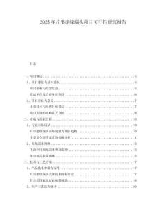 2025年片形絕緣端頭項(xiàng)目可行性研究報(bào)告