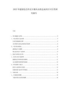 2025年超強包芯紗無石棉從動盤總成項目可行性研究報告