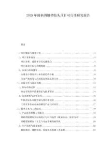 2025年圓柄四鍵槽鉆頭項(xiàng)目可行性研究報(bào)告