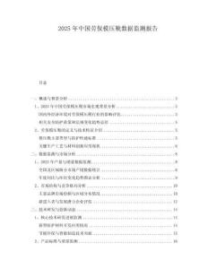 2025年中国劳保模压靴数据监测报告